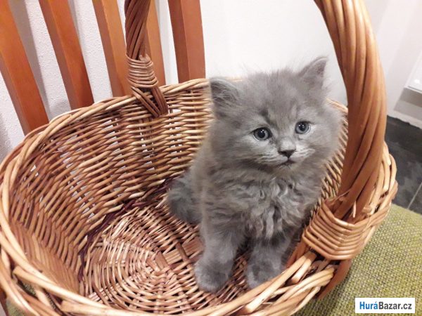 detailní fotografie