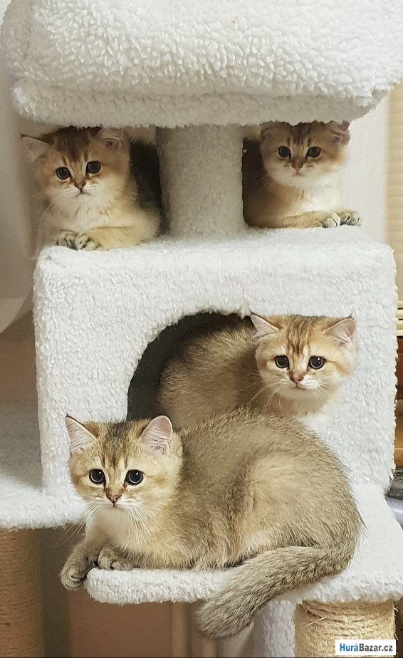 detailní fotografie