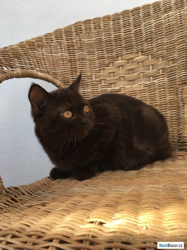 detailní fotografie