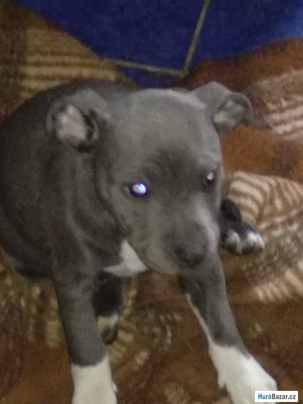 detailní fotografie