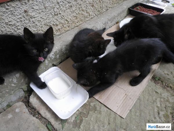 detailní fotografie