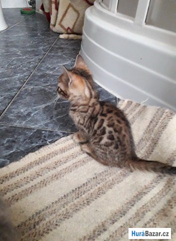 detailní fotografie