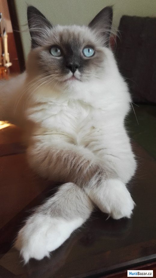 detailní fotografie