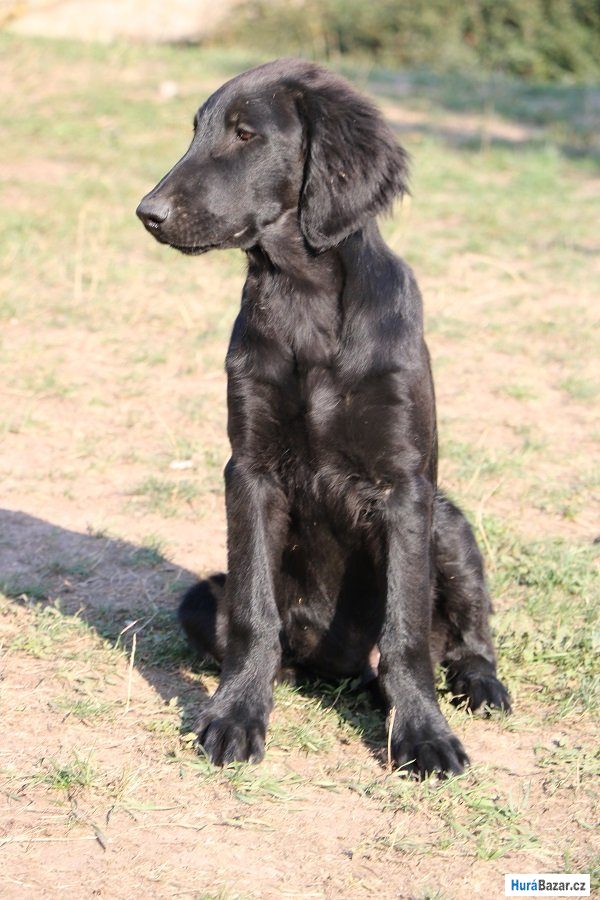 detailní fotografie