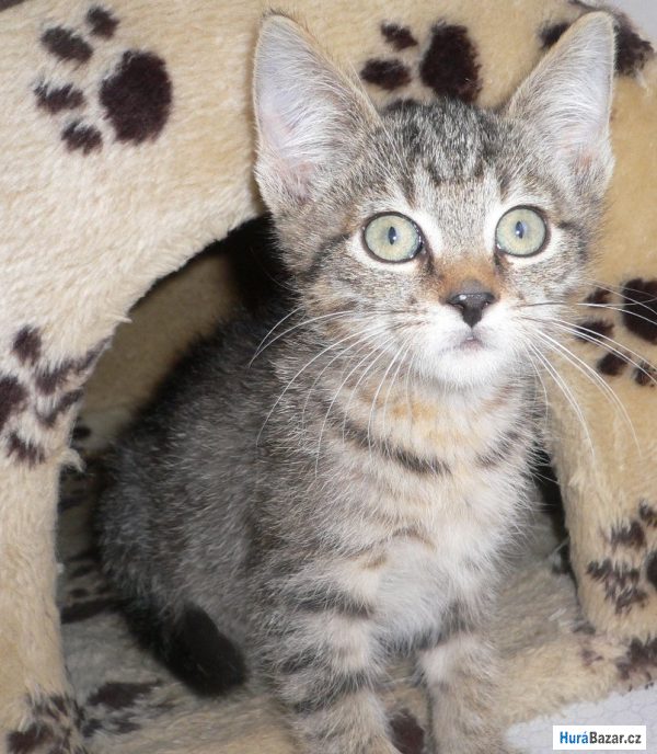 detailní fotografie