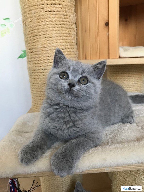 detailní fotografie