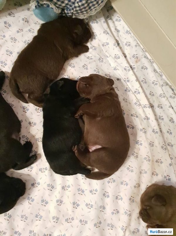 detailní fotografie