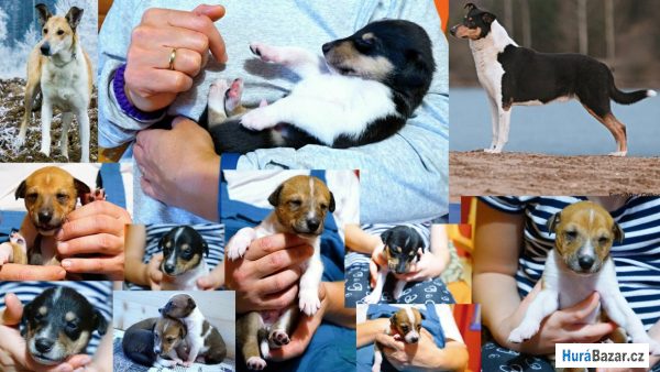 detailní fotografie