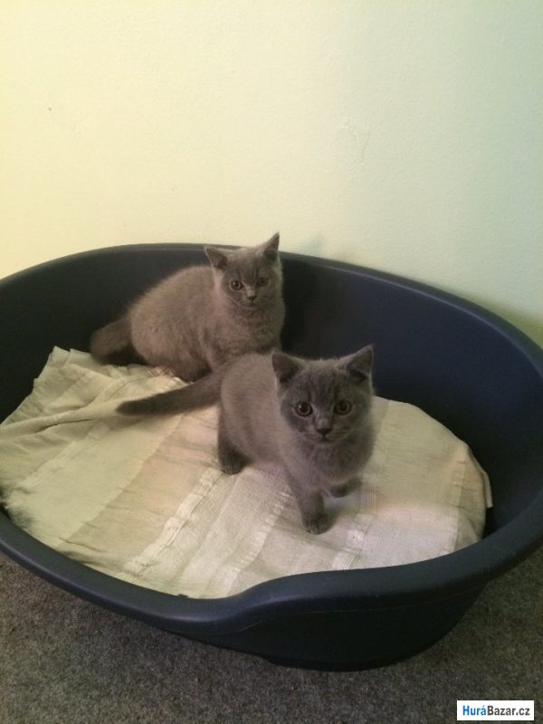 detailní fotografie