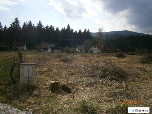 detailní fotografie