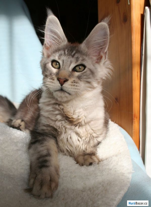 detailní fotografie