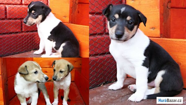 detailní fotografie