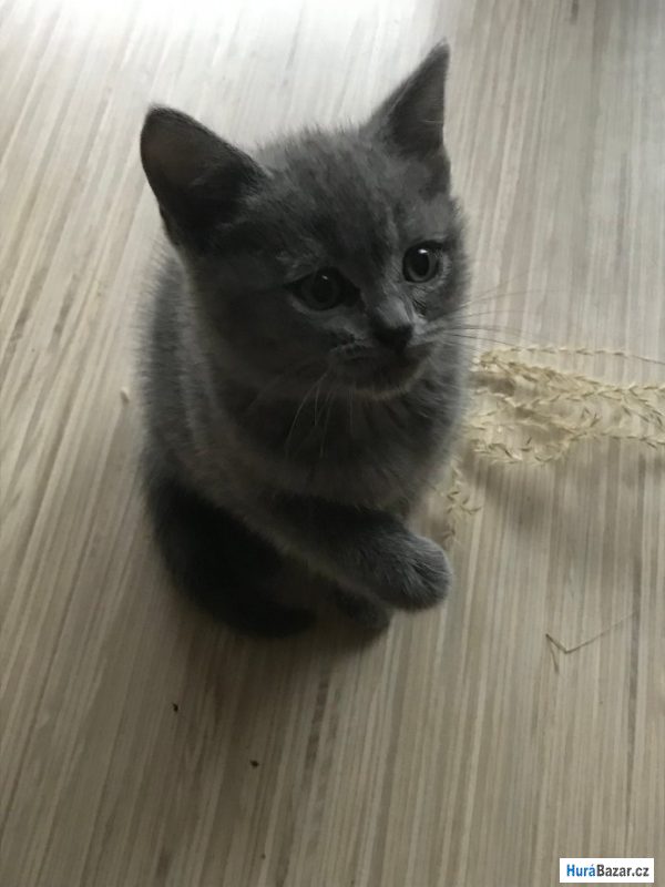 detailní fotografie