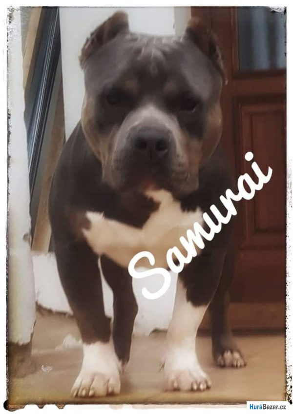 detailní fotografie