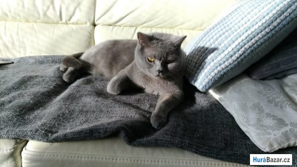 detailní fotografie