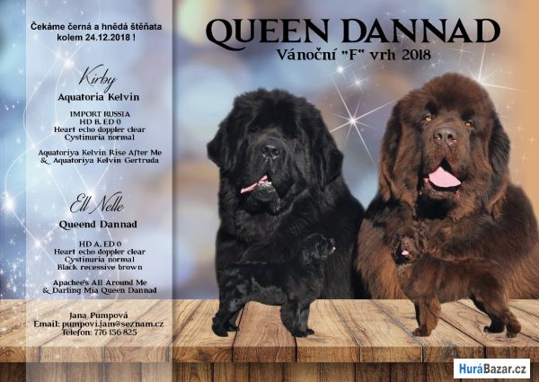 detailní fotografie