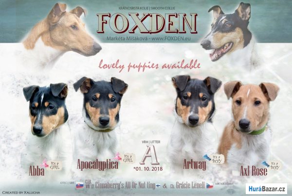 detailní fotografie