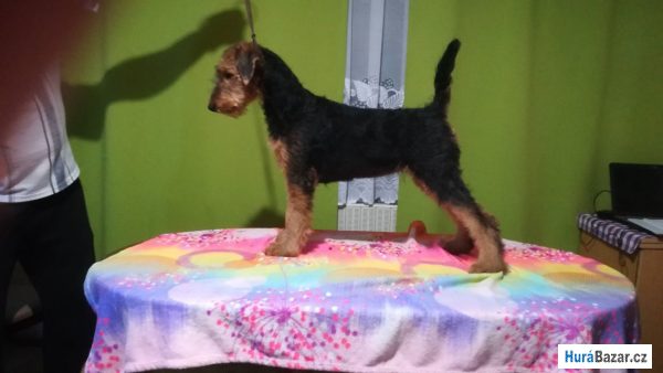 detailní fotografie