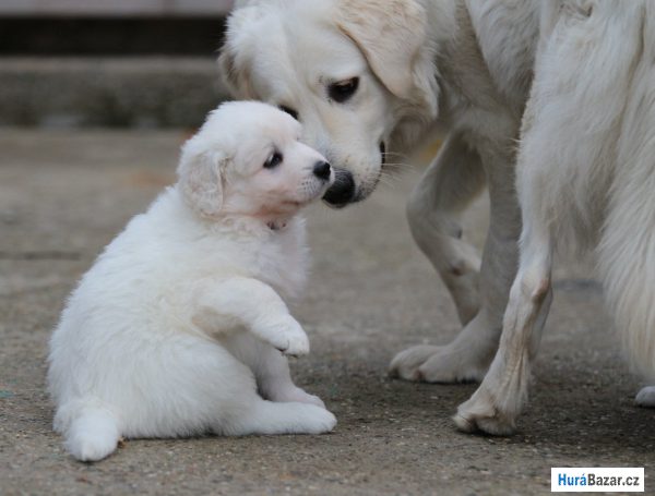 detailní fotografie