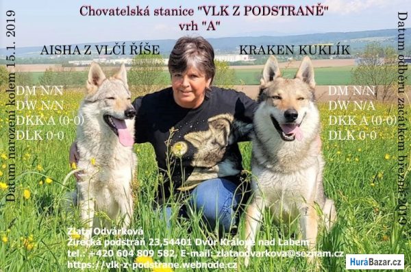 detailní fotografie