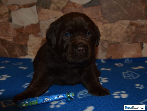 detailní fotografie