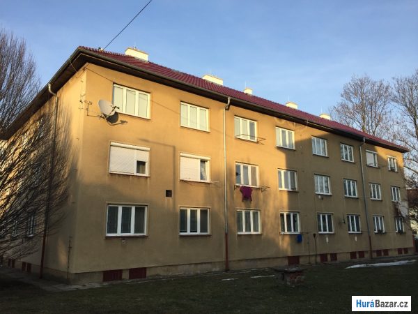 detailní fotografie