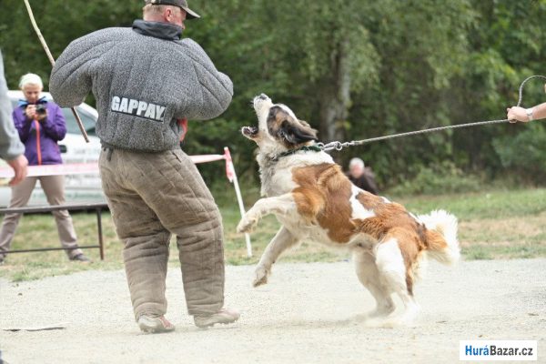detailní fotografie