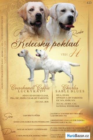 detailní fotografie