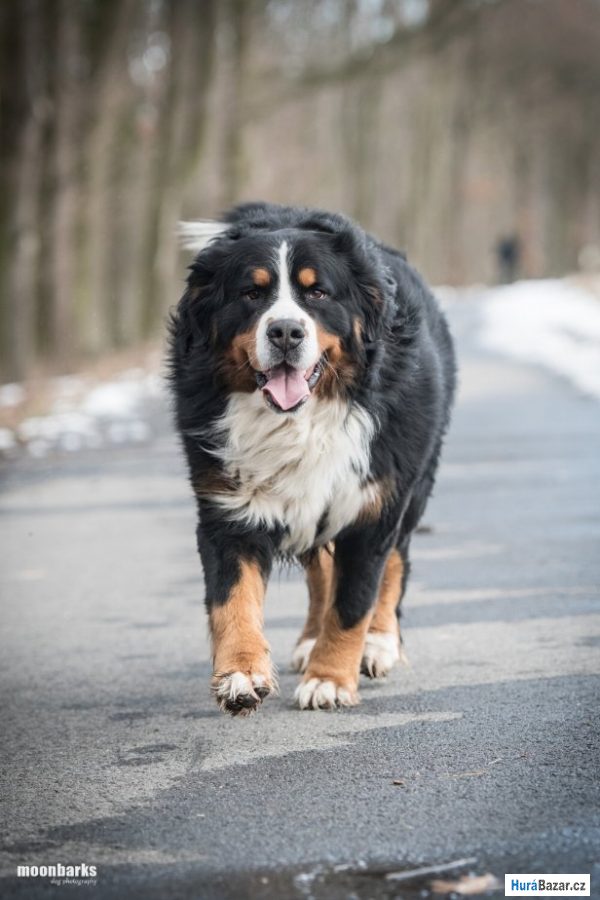 detailní fotografie