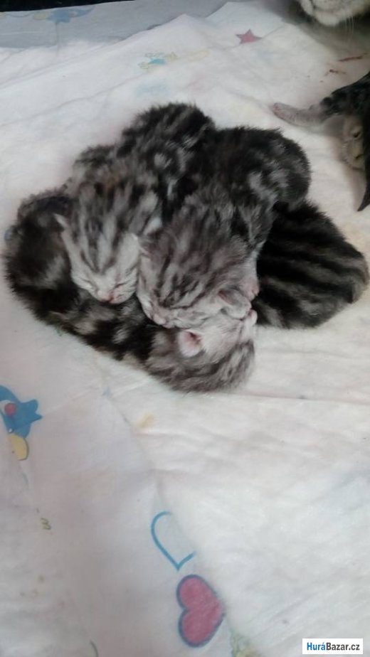 detailní fotografie