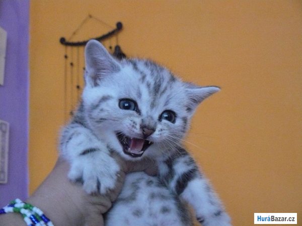 detailní fotografie