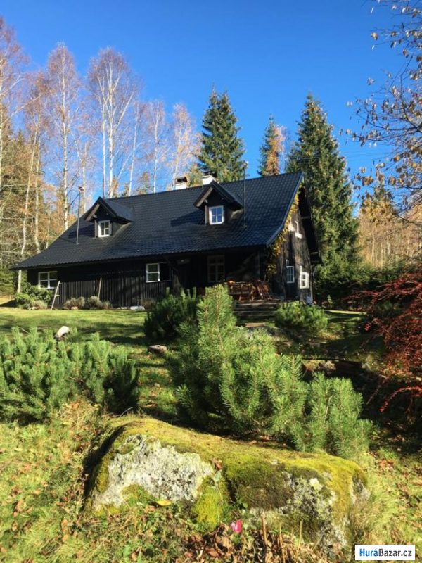 detailní fotografie