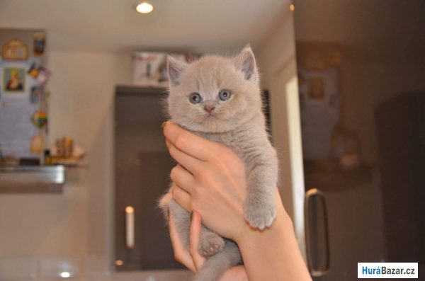 detailní fotografie