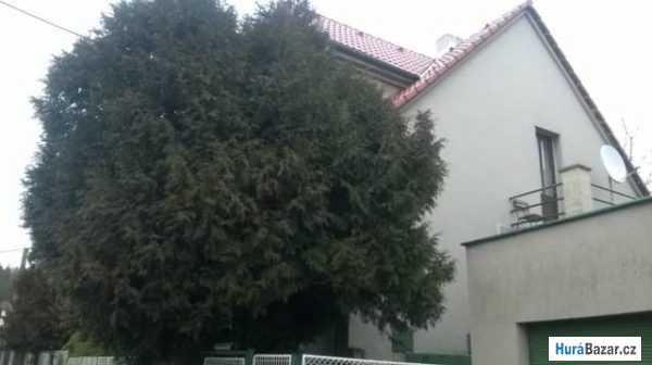 detailní fotografie