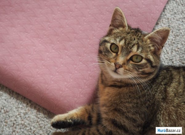 detailní fotografie