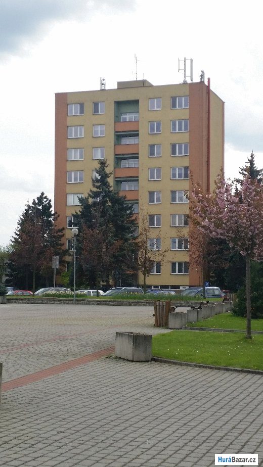 detailní fotografie