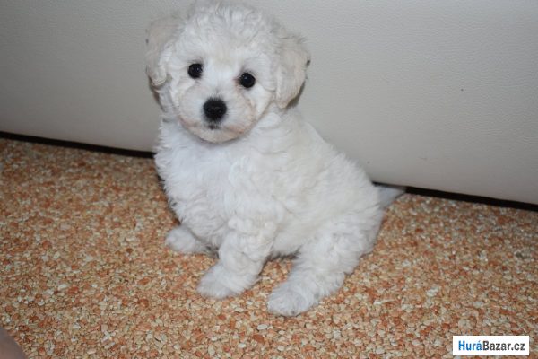 detailní fotografie