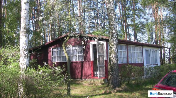 detailní fotografie