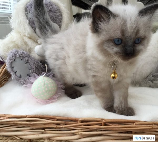 detailní fotografie