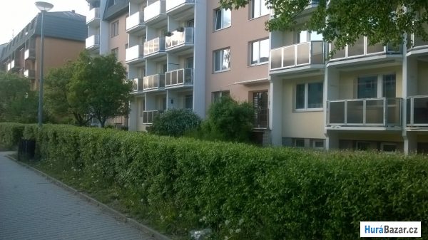 detailní fotografie