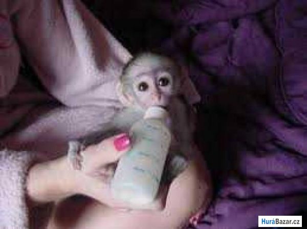 detailní fotografie