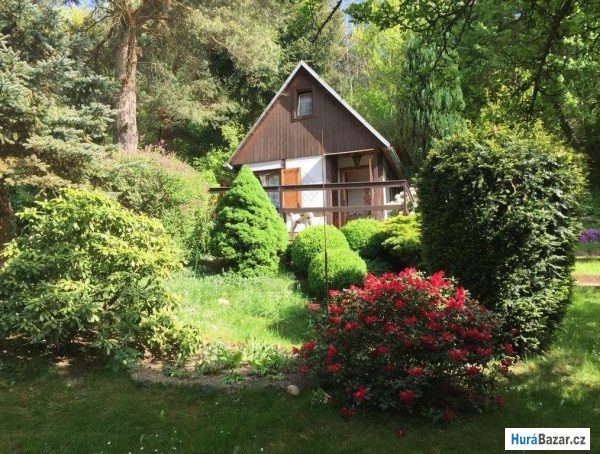 detailní fotografie