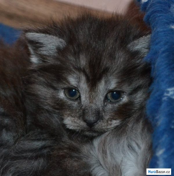 detailní fotografie