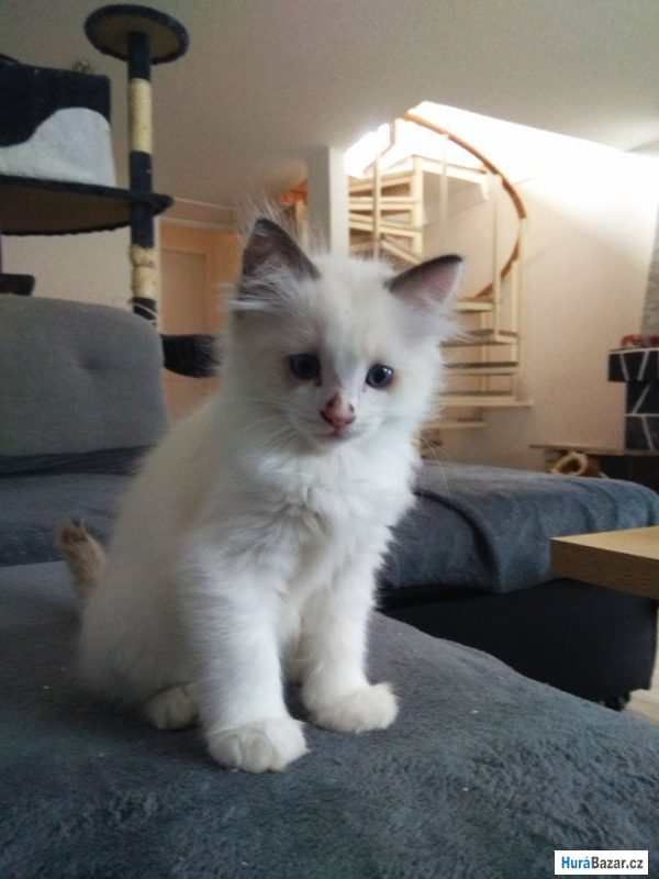 detailní fotografie