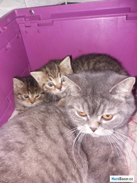 detailní fotografie