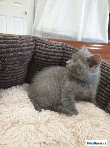 detailní fotografie