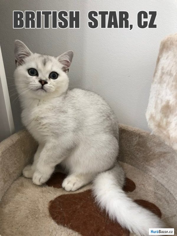 detailní fotografie