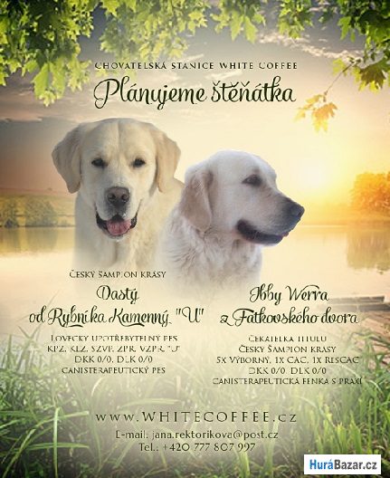 detailní fotografie