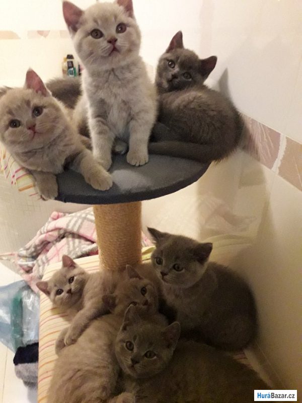 detailní fotografie