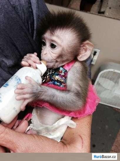 detailní fotografie